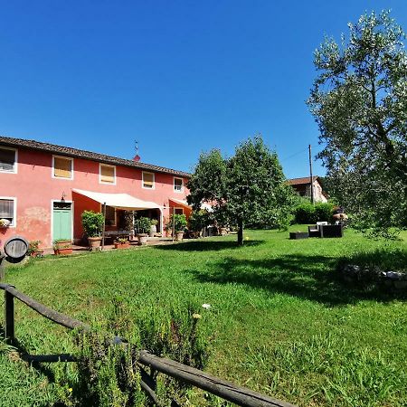 Agriturismo Al Podere Di Rosa Lucca Eksteriør billede