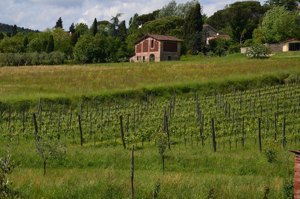 Agriturismo Al Podere Di Rosa Lucca Eksteriør billede