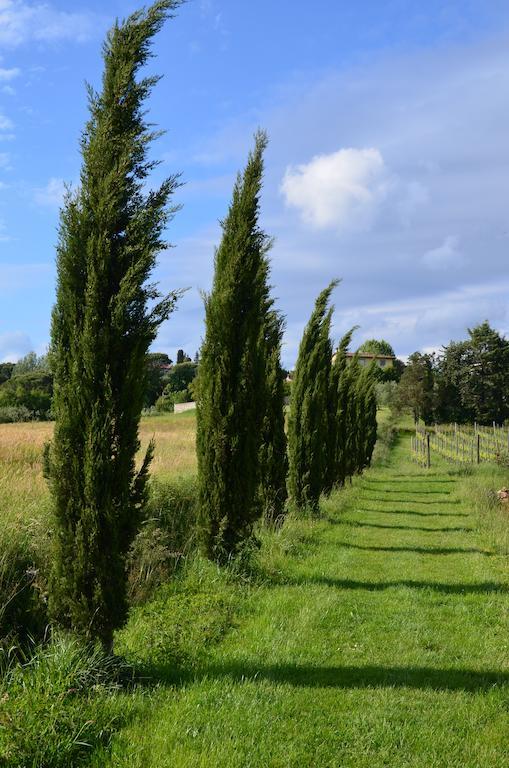 Agriturismo Al Podere Di Rosa Lucca Eksteriør billede