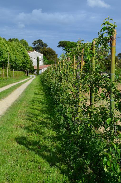 Agriturismo Al Podere Di Rosa Lucca Eksteriør billede