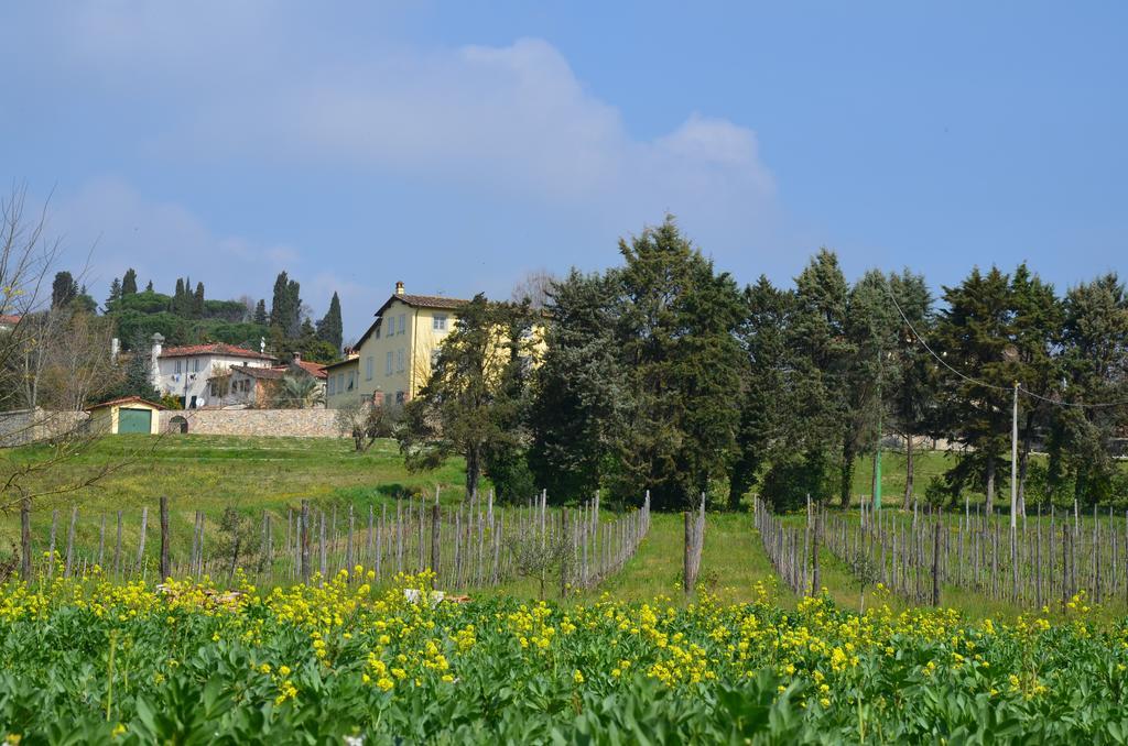 Agriturismo Al Podere Di Rosa Lucca Eksteriør billede