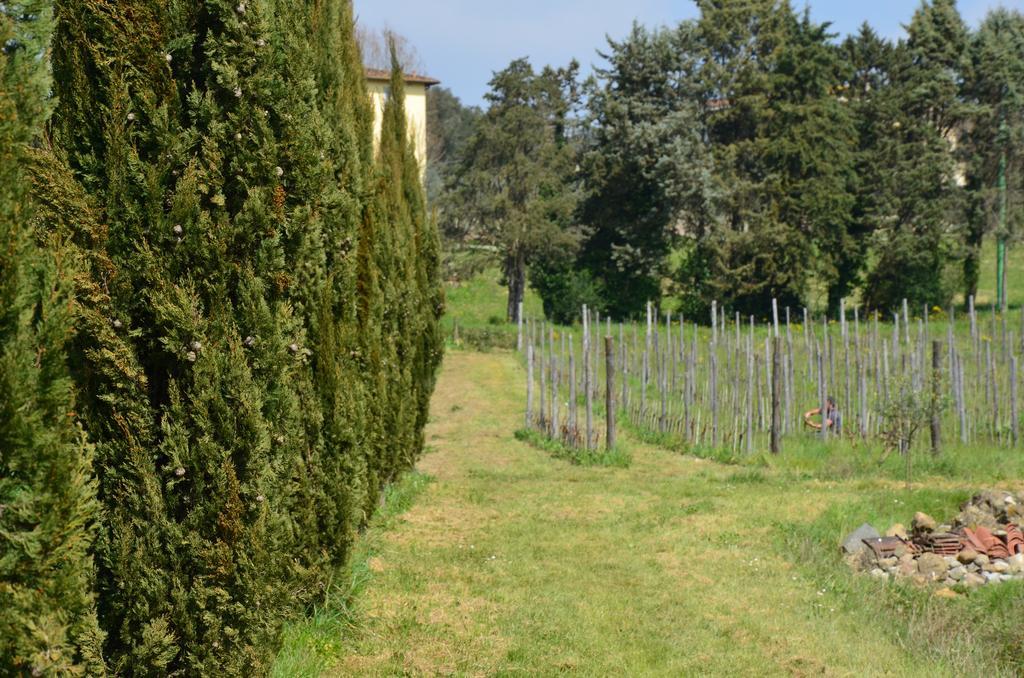 Agriturismo Al Podere Di Rosa Lucca Eksteriør billede